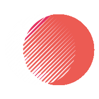 datariseproject.com